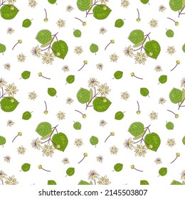 Seamless pattern with linden. Vector color illustration with whate background.