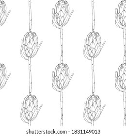 Seamless pattern line art flowers protea. Design fabric textile. - Vector illustration
