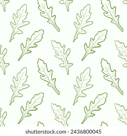 Seamless pattern line arugula. Vector painted. Illustration superfood on white background. Sketch leaves in cartoon flat style green outline. Green color.