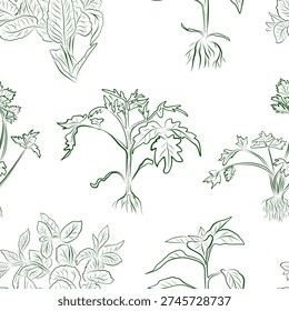 A seamless pattern of line drawings featuring a set of plants with roots, including pepper seedlings, tomatoes, and parsley