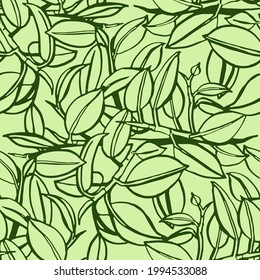 Seamless pattern linear drawing ficus vector