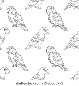 Seamless pattern, linear drawings of tropical parrots on a white background. Cute macaw birds. Design for textile, background, print