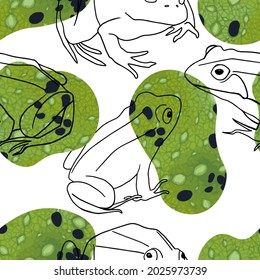 seamless pattern linear frogs frog texture vector