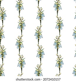 Seamless pattern with a linear ornament from bouquets of spring flowers snowdrops, pussy willow. Vector illustration for festive design. 