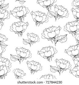 Seamless pattern with liner black roses on white background. Vector illustration