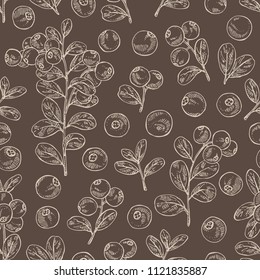 Seamless pattern with lingonberries: and branch of lingonberries and leaves. Vector hand drawn illustration