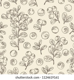 Seamless pattern with lingonberries: and branch of lingonberries and leaves. Vector hand drawn illustration