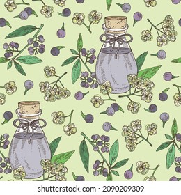 Patrón sin foco con litsea cubeba: planta, flores, bayas de cubeba de litsea y botella de aceite esencial de litsea cubeba. Cosmética, perfumería y planta médica. Ilustración de vectores a mano