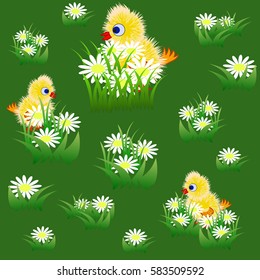 Seamless pattern with little funny yellow chicks and chamomiles in grass. Vector illustration