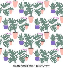 Seamless pattern with llustration a 
home plants on a white background Vector 