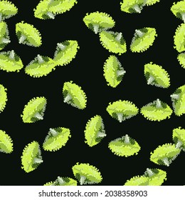 Seamless pattern lola rosa salad on dark green background. Modern ornament with lettuce. Random plant template for fabric. Design vector illustration.