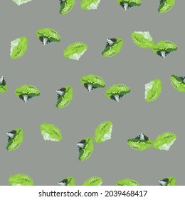 Seamless pattern lola rosa salad on gray background. Abstractornament with lettuce. Random plant template for fabric. Design vector illustration.