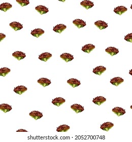 Seamless pattern lola rosa salad on white background. minimalism ornament with lettuce. Random plant template for fabric. Design vector illustration.