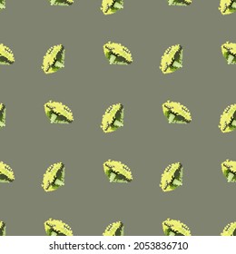 Seamless pattern lola rosa salad on green background. Modern ornament with lettuce. Geometric plant template for fabric. Design vector illustration.