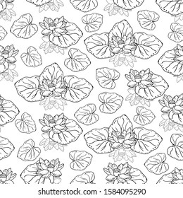 Seamless pattern with lotus flower on a white textured background. Handmade. Vector. Print for bed linens, fabric, textiles, wallpaper, greeting cards, wrapping paper,gift box
