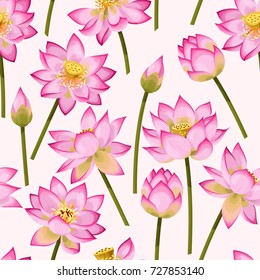 Seamless pattern with lotus flowers
