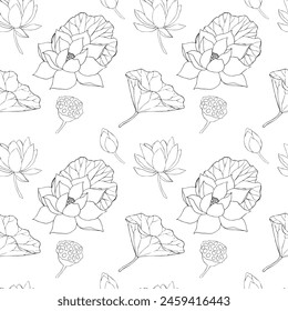 Seamless pattern with lotus flowers, leaves and buds black. Vector line illustration. Outline floral drawing for for logo, tattoo, packaging design, compositions. Water Lily botanical vector design.