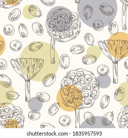Seamless pattern with lotus: lotus seed and fruits. Cosmetic and medical plant. Vector hand drawn illustration. Vector hand drawn illustration.
