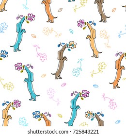 Seamless pattern with lovely dachshunds and flowers. Vector illustration.