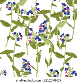 seamless pattern with lungwort, field flowers, vector drawing wild plants at white background, flowering meadow , hand drawn botanical illustration