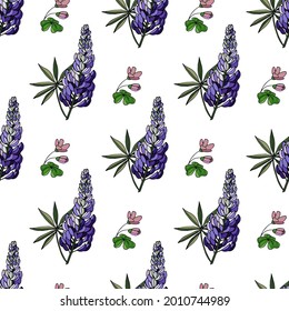 Seamless pattern with lupine flowers design, vector drawing