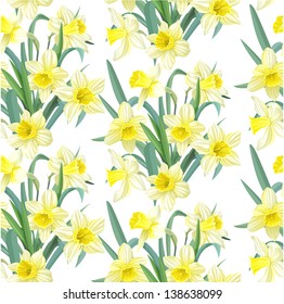 Seamless pattern lush yellow daffodils on white background