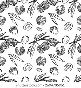 Patrón sin fisuras con frutas de lichi en textura de trazo de pincel negro aislado sobre fondo blanco. Dibujado a mano ilustración de boceto de Vector en tinta de carbón vintage. Diseño de paquetes, Litchi chinensis