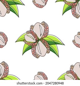 Seamless pattern with lychee and leaves on a white background. Design element nature for paper, wallpaper, textiles. 