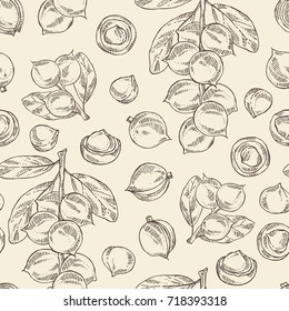 Seamless pattern with macadamia: branch, leaves and macadamia nuts. Cosmetic and medical plant. Vector hand drawn illustration. 