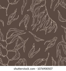 Seamless pattern with macrocystis: macrocystis seaweed, leaves. Brown algae. Edible seaweed. Vector hand drawn illustration.