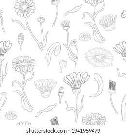 Seamless Pattern made of Calendula Branches, Flowers and leaves. Hand Drawn, Contour only Marigold Isolated on White Background. Ideal for Magazine, Recipe book, Poster, Cards, Menu cover etc.