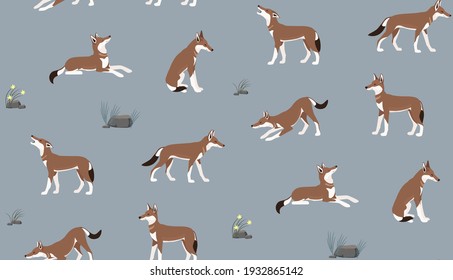 Seamless pattern made of colored flat icons of ethiopian wolf in different poses, simple rocks and plants. One of endangered species of animals.