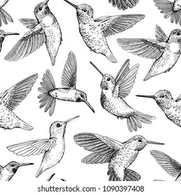 Seamless pattern made of  hand drawn flying hummingbirds.