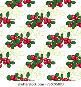 Seamless pattern made from hand drawn cowberry on white background. Vector illustration