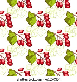 Seamless pattern made from hand drawn barberry on white background. Vector illustration