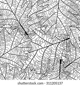 seamless pattern made Isolated skeletal oak leaf with veins