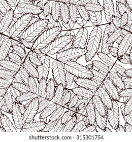 seamless pattern made Isolated skeletal rowan leaf with veins. vector illustration