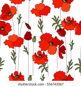 Seamless pattern made of red poppies and herbs. Endless floral texture