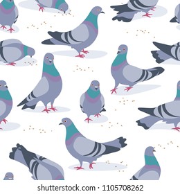 Seamless pattern made with rock doves on white background. Bluish pigeons in motion – walking and eating grains. Simplified image of gray birds group. Vector flat illustration.