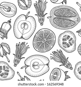 Seamless pattern made of vintage graphically drawing different fruits vector. Can be used for wallpapers, pattern fills, web page backgrounds, surface textures.