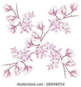 Seamless pattern with magnolia and apple tree. Hand drawn sakura spring flowers. Vector illustration