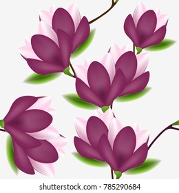 Seamless pattern with magnolia flowers on a white background.