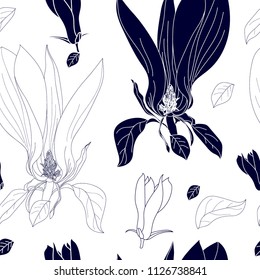 Seamless pattern with magnolia. Hand drawn floral background.