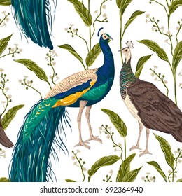 Seamless pattern with male and female peacock, flowers and leaves. Vintage hand drawn vector illustration in watercolor style