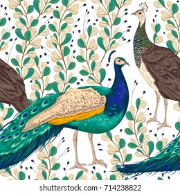 Seamless pattern with male and female peacock, berries and leaves. Vintage hand drawn vector illustration in watercolor style