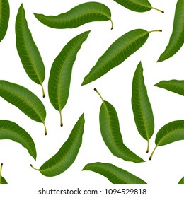 Seamless pattern with mango leaf. Realistic vector illustration plant.