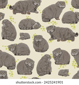 Seamless pattern with manulas. Pallas' cats and their kittens lie, sit and walk. Realistic cat animals of Asia. Vector animals