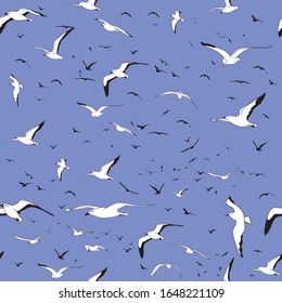seamless pattern of  many black and white gulls on blue background