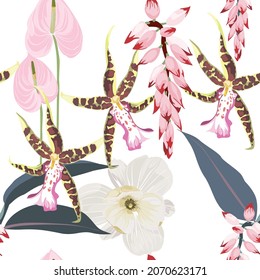 Patrón sin soldadura: muchas flores tropicales de color rosa exótico. La mano dibujó hermosos elementos. Arte botánico natural, elegante tapiz rojo sobre fondo blanco, diseño de impresión, ramo exótico.