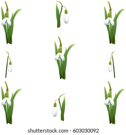 Seamless pattern with many snowdrops flowers and green leaves same sizes. White background. Vector